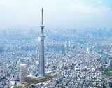 skytree.jpg image by deivd
