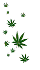 pot-leaves-animated.gif image by esa_chula3